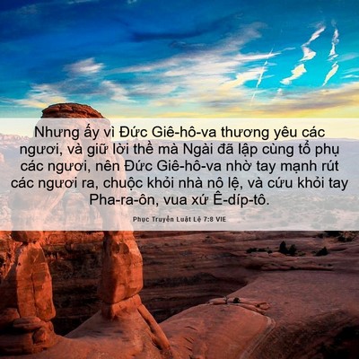 Picture 06 - Phục Truyền Luật Lệ 7:8 VIE - Nhưng ấy vì Đức Giê-hô-va thương yêu - Bible Verse Picture