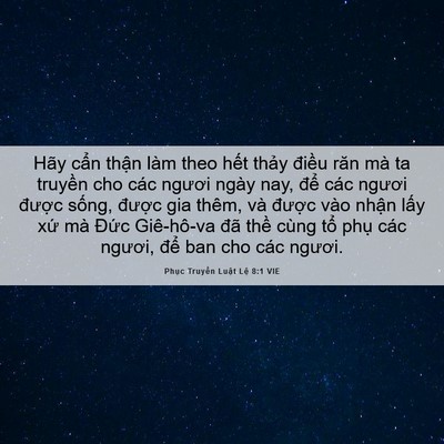 Picture 06 - Phục Truyền Luật Lệ 8:1 VIE - Hãy cẩn thận làm theo hết thảy điều - Bible Verse Picture