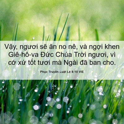 Picture 06 - Phục Truyền Luật Lệ 8:10 VIE - Vậy, ngươi sẽ ăn no nê, và ngợi khen - Bible Verse Picture