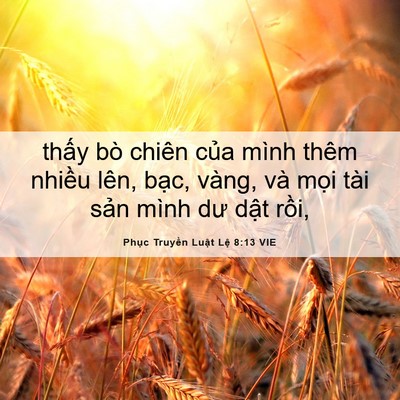 Picture 06 - Phục Truyền Luật Lệ 8:13 VIE - thấy bò chiên của mình thêm nhiều lên, - Bible Verse Picture