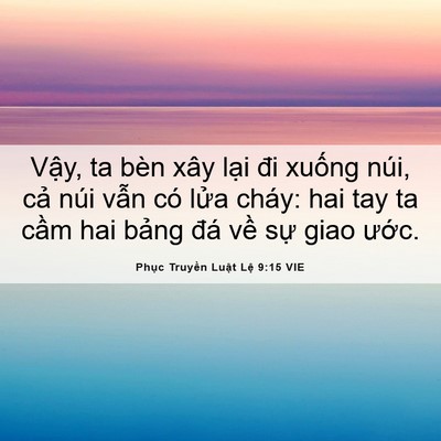 Picture 06 - Phục Truyền Luật Lệ 9:15 VIE - Vậy, ta bèn xây lại đi xuống núi, cả - Bible Verse Picture