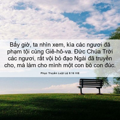 Picture 06 - Phục Truyền Luật Lệ 9:16 VIE - Bấy giờ, ta nhìn xem, kìa các ngươi đã - Bible Verse Picture