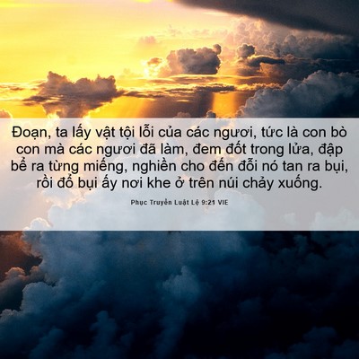 Picture 06 - Phục Truyền Luật Lệ 9:21 VIE - Đoạn, ta lấy vật tội lỗi của các - Bible Verse Picture