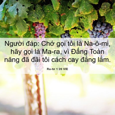 Picture 06 - Ru-tơ 1:20 VIE - Người đáp: Chớ gọi tôi là Na-ô-mi, - Bible Verse Picture