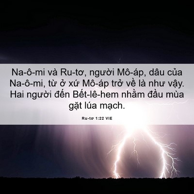 Picture 06 - Ru-tơ 1:22 VIE - Na-ô-mi và Ru-tơ, người Mô-áp, dâu của - Bible Verse Picture