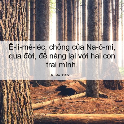 Picture 06 - Ru-tơ 1:3 VIE - Ê-li-mê-léc, chồng của Na-ô-mi, qua - Bible Verse Picture