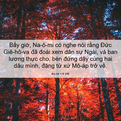 Picture 06 - Ru-tơ 1:6 VIE - Bấy giờ, Na-ô-mi có nghe nói rằng Đức - Bible Verse Picture