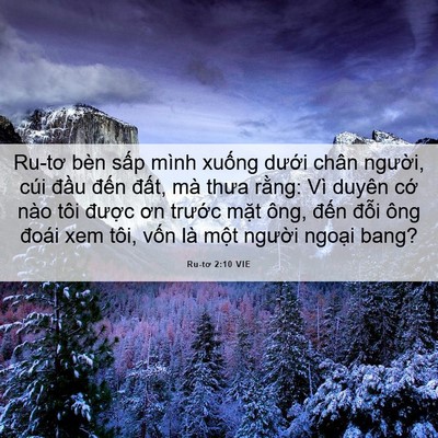 Picture 06 - Ru-tơ 2:10 VIE - Ru-tơ bèn sấp mình xuống dưới chân - Bible Verse Picture