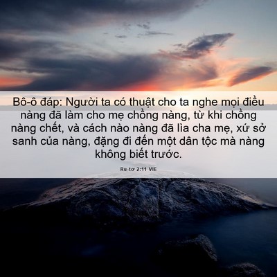 Picture 06 - Ru-tơ 2:11 VIE - Bô-ô đáp: Người ta có thuật cho ta nghe - Bible Verse Picture
