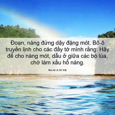 Picture 06 - Ru-tơ 2:15 VIE - Đoạn, nàng đứng dậy đặng mót. Bô-ô - Bible Verse Picture