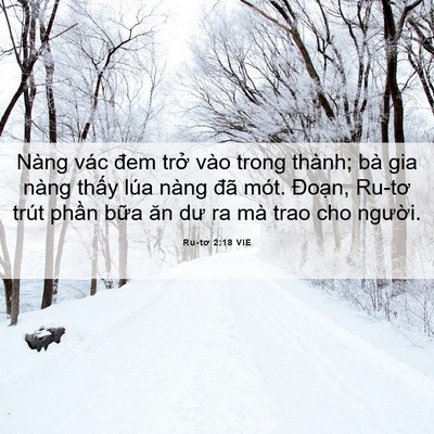 Picture 06 - Ru-tơ 2:18 VIE - Nàng vác đem trở vào trong thành; bà gia - Bible Verse Picture