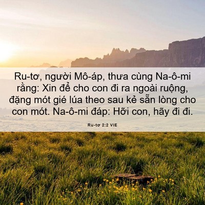 Picture 06 - Ru-tơ 2:2 VIE - Ru-tơ, người Mô-áp, thưa cùng Na-ô-mi - Bible Verse Picture