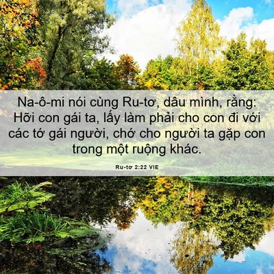 Picture 06 - Ru-tơ 2:22 VIE - Na-ô-mi nói cùng Ru-tơ, dâu mình, rằng: - Bible Verse Picture
