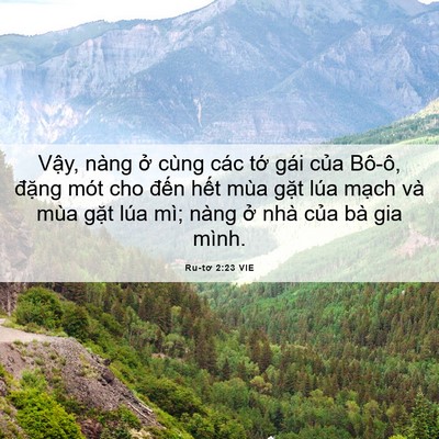 Picture 06 - Ru-tơ 2:23 VIE - Vậy, nàng ở cùng các tớ gái của - Bible Verse Picture