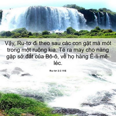 Picture 06 - Ru-tơ 2:3 VIE - Vậy, Ru-tơ đi theo sau các con gặt mà - Bible Verse Picture