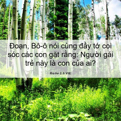 Picture 06 - Ru-tơ 2:5 VIE - Đoạn, Bô-ô nói cùng đầy tớ coi sóc - Bible Verse Picture