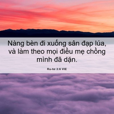 Picture 06 - Ru-tơ 3:6 VIE - Nàng bèn đi xuống sân đạp lúa, và làm - Bible Verse Picture