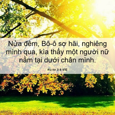 Picture 06 - Ru-tơ 3:8 VIE - Nửa đêm, Bô-ô sợ hãi, nghiêng mình - Bible Verse Picture