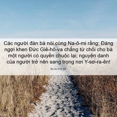 Picture 06 - Ru-tơ 4:14 VIE - Các người đàn bà nói cùng Na-ô-mi - Bible Verse Picture
