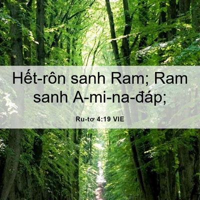 Picture 06 - Ru-tơ 4:19 VIE - Hết-rôn sanh Ram; Ram sanh - Bible Verse Picture