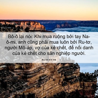 Picture 06 - Ru-tơ 4:5 VIE - Bô-ô lại nói: Khi mua ruộng bởi tay - Bible Verse Picture