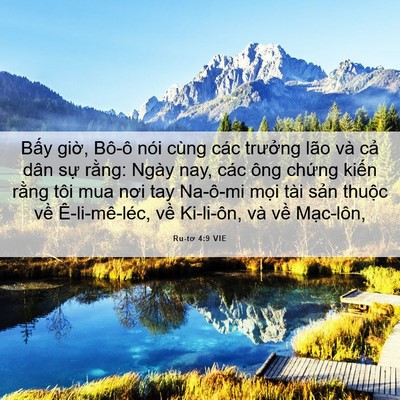 Picture 06 - Ru-tơ 4:9 VIE - Bấy giờ, Bô-ô nói cùng các trưởng - Bible Verse Picture