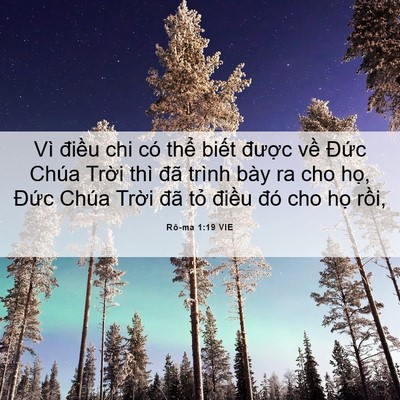 Picture 06 - Rô-ma 1:19 VIE - Vì điều chi có thể biết được về - Bible Verse Picture