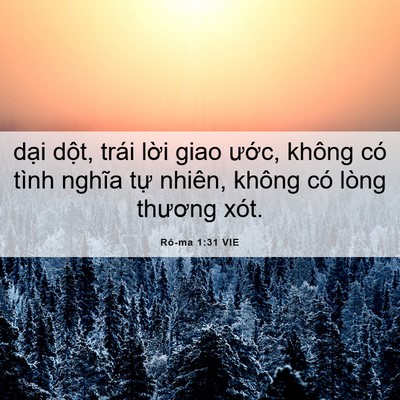 Picture 06 - Rô-ma 1:31 VIE - dại dột, trái lời giao ước, không có - Bible Verse Picture