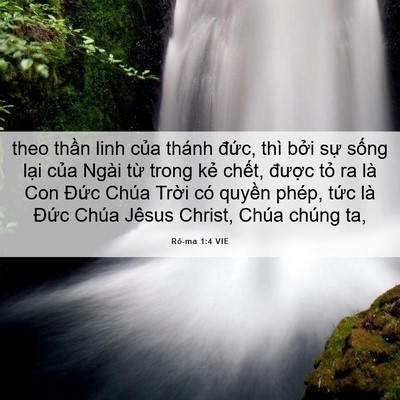 Picture 06 - Rô-ma 1:4 VIE - theo thần linh của thánh đức, thì bởi - Bible Verse Picture
