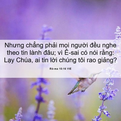 Picture 06 - Rô-ma 10:16 VIE - Nhưng chẳng phải mọi người đều nghe - Bible Verse Picture