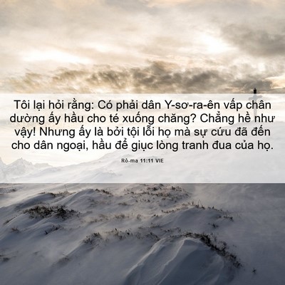 Picture 06 - Rô-ma 11:11 VIE - Tôi lại hỏi rằng: Có phải dân - Bible Verse Picture