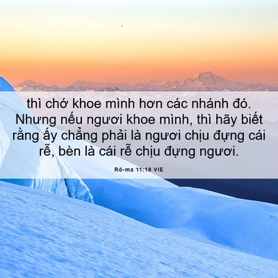 Picture 06 - Rô-ma 11:18 VIE - thì chớ khoe mình hơn các nhánh đó. - Bible Verse Picture