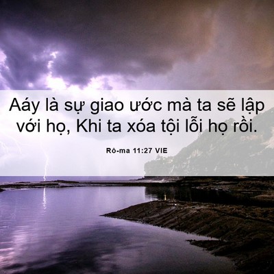 Picture 06 - Rô-ma 11:27 VIE - Aáy là sự giao ước mà ta sẽ lập với - Bible Verse Picture