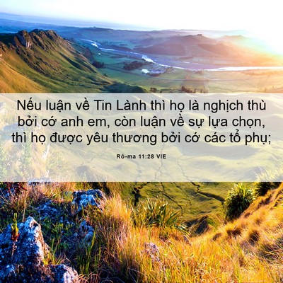 Picture 06 - Rô-ma 11:28 VIE - Nếu luận về Tin Lành thì họ là - Bible Verse Picture