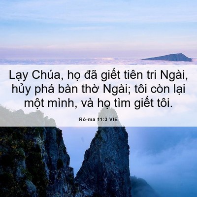 Picture 06 - Rô-ma 11:3 VIE - Lạy Chúa, họ đã giết tiên tri Ngài, - Bible Verse Picture