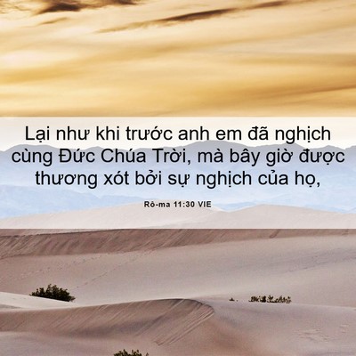 Picture 06 - Rô-ma 11:30 VIE - Lại như khi trước anh em đã nghịch - Bible Verse Picture