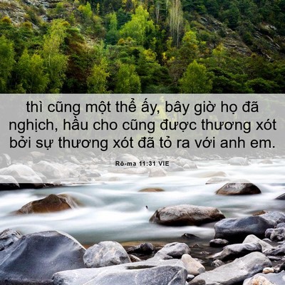 Picture 06 - Rô-ma 11:31 VIE - thì cũng một thể ấy, bây giờ họ đã - Bible Verse Picture