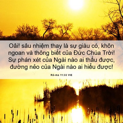 Picture 06 - Rô-ma 11:33 VIE - Oâi! sâu nhiệm thay là sự giàu có, khôn - Bible Verse Picture