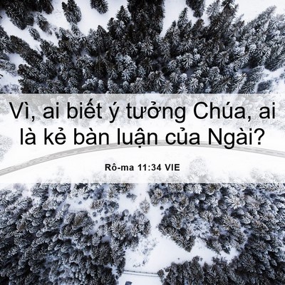 Picture 06 - Rô-ma 11:34 VIE - Vì, ai biết ý tưởng Chúa, ai là kẻ - Bible Verse Picture