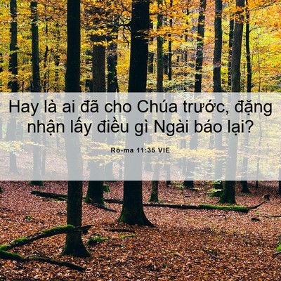 Picture 06 - Rô-ma 11:35 VIE - Hay là ai đã cho Chúa trước, đặng - Bible Verse Picture
