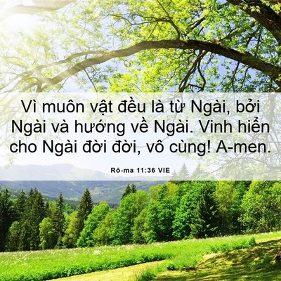Picture 06 - Rô-ma 11:36 VIE - Vì muôn vật đều là từ Ngài, bởi - Bible Verse Picture