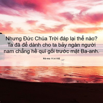 Picture 06 - Rô-ma 11:4 VIE - Nhưng Đức Chúa Trời đáp lại thể - Bible Verse Picture