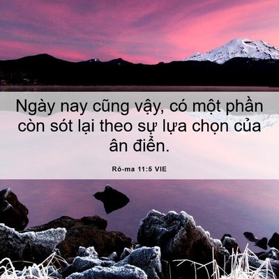 Picture 06 - Rô-ma 11:5 VIE - Ngày nay cũng vậy, có một phần còn sót - Bible Verse Picture