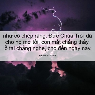 Picture 06 - Rô-ma 11:8 VIE - như có chép rằng: Đức Chúa Trời đã - Bible Verse Picture