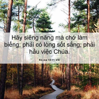 Picture 06 - Rô-ma 12:11 VIE - Hãy siêng năng mà chớ làm biếng; phải - Bible Verse Picture