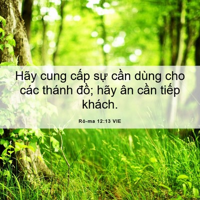 Picture 06 - Rô-ma 12:13 VIE - Hãy cung cấp sự cần dùng cho các thánh - Bible Verse Picture