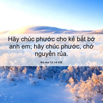 Picture 06 - Rô-ma 12:14 VIE - Hãy chúc phước cho kẻ bắt bớ anh em; - Bible Verse Picture