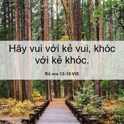 Picture 06 - Rô-ma 12:15 VIE - Hãy vui với kẻ vui, khóc với kẻ - Bible Verse Picture