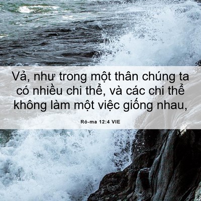 Picture 06 - Rô-ma 12:4 VIE - Vả, như trong một thân chúng ta có - Bible Verse Picture