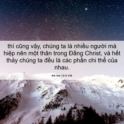 Picture 06 - Rô-ma 12:5 VIE - thì cũng vậy, chúng ta là nhiều người - Bible Verse Picture